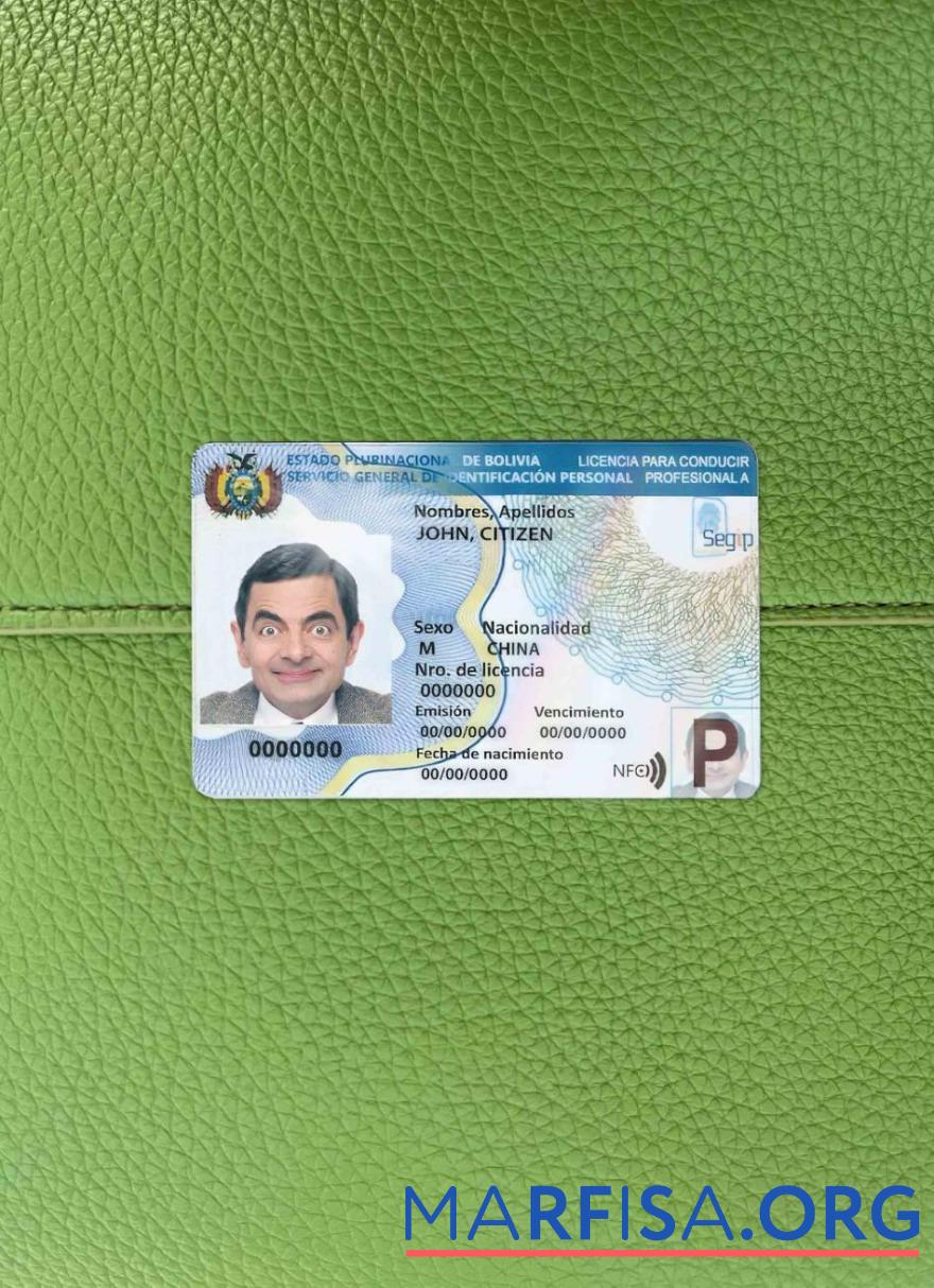 Realistic Bolivia driving license template (2017 – present) photolook FRONT